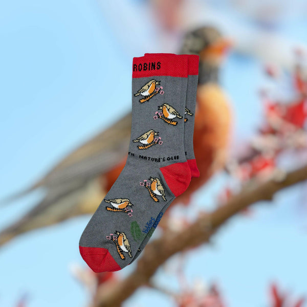 CHIRPY ROBIN ORGANIC COTTON KIDS SOCKS.